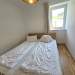 Alpine 5 *